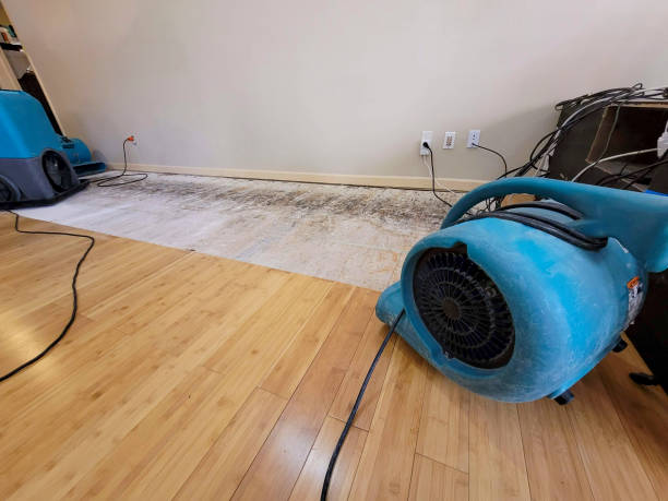 Professional Sewage Cleanup technician working in Otter Lake, MI